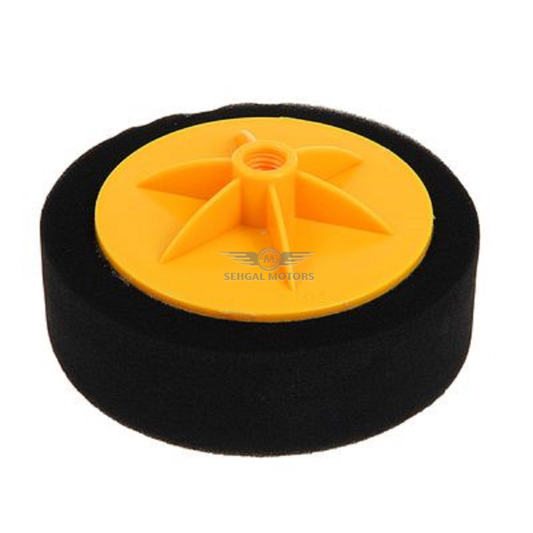 Professional Foam Pad - 6 Inches