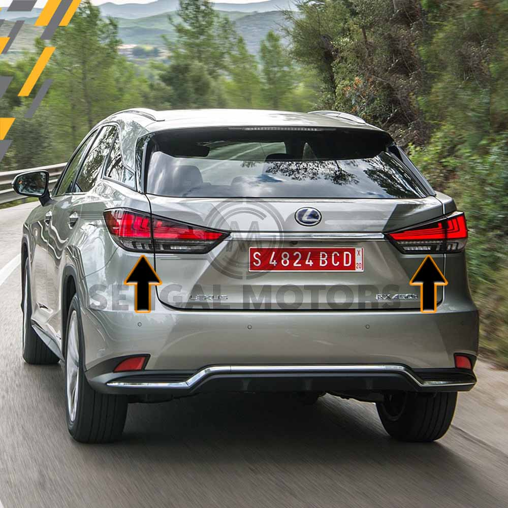 Lexus GX450 Back Light